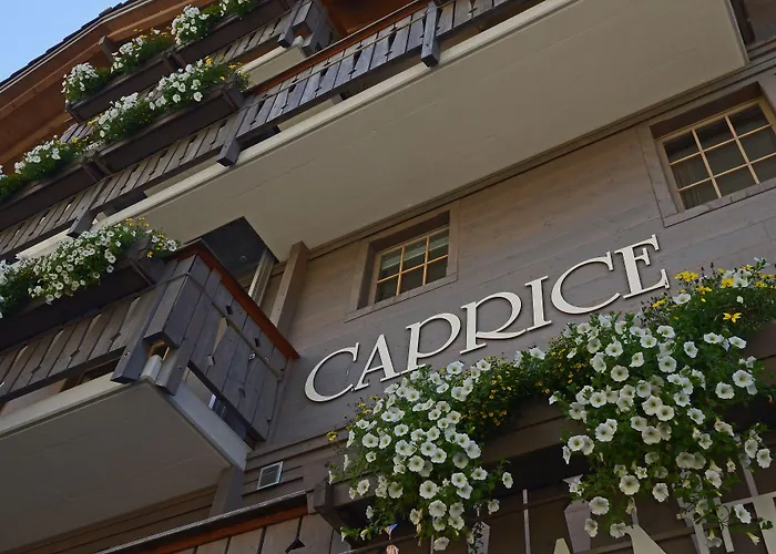 Hotel Maya Caprice